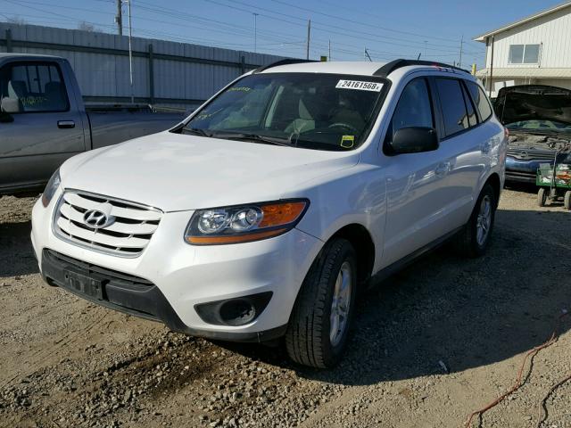 5XYZGDAG4BG016348 - 2011 HYUNDAI SANTA FE G WHITE photo 2