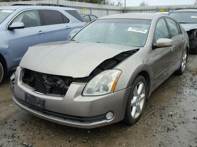 1N4BA41E44C919758 - 2004 NISSAN MAXIMA SE BEIGE photo 2