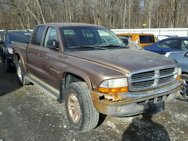 1B7GG2AN81S103849 - 2001 DODGE DAKOTA QUA GOLD photo 1