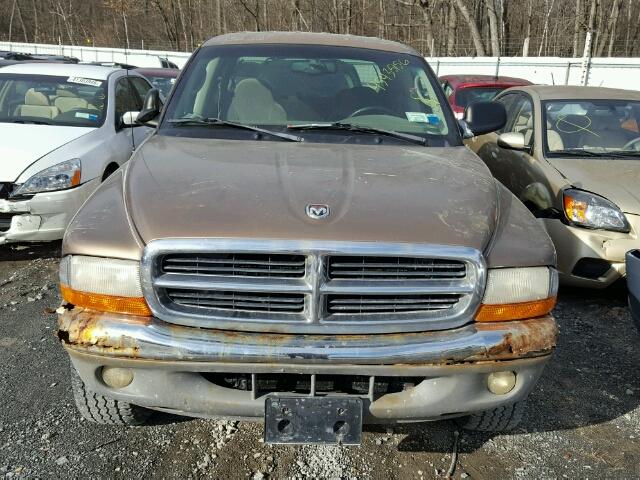 1B7GG2AN81S103849 - 2001 DODGE DAKOTA QUA GOLD photo 9