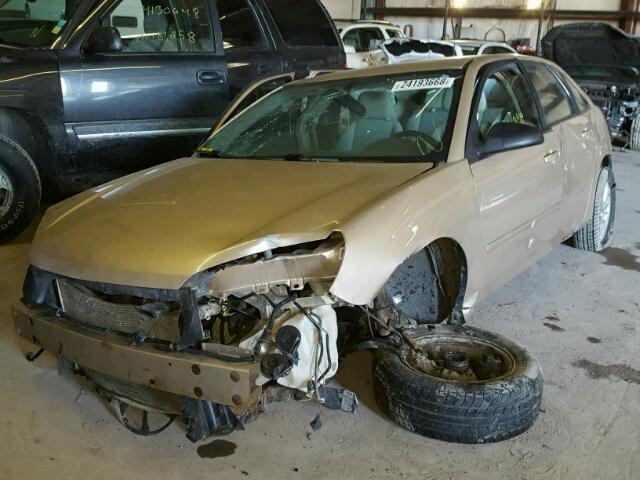 1G1ZT64855F169591 - 2005 CHEVROLET MALIBU MAX TAN photo 2