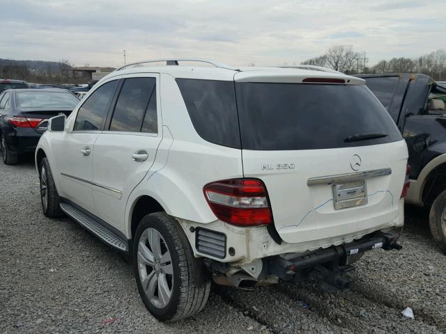 4JGBB5GB0BA718924 - 2011 MERCEDES-BENZ ML 350 WHITE photo 3