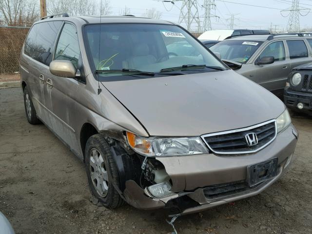 5FNRL18003B158529 - 2003 HONDA ODYSSEY EX GOLD photo 1