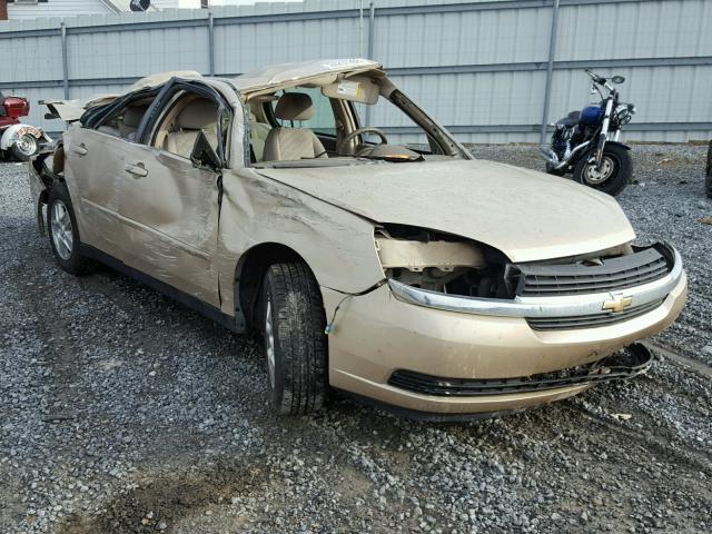 1G1ZT52865F296816 - 2005 CHEVROLET MALIBU LS GOLD photo 1