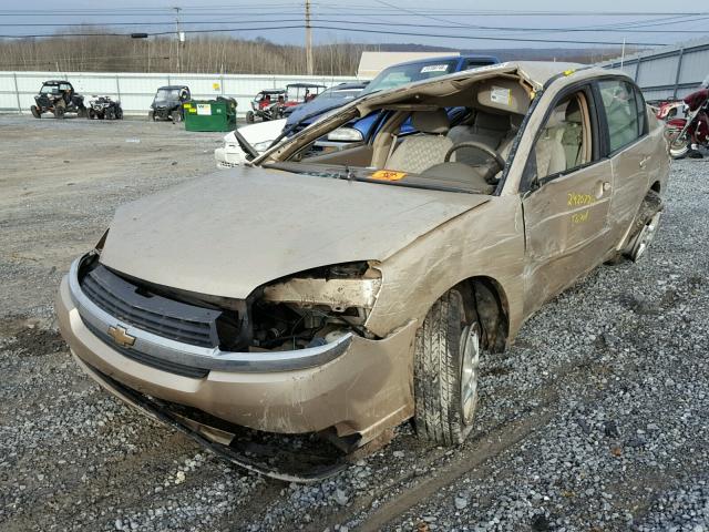 1G1ZT52865F296816 - 2005 CHEVROLET MALIBU LS GOLD photo 2