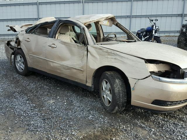 1G1ZT52865F296816 - 2005 CHEVROLET MALIBU LS GOLD photo 9