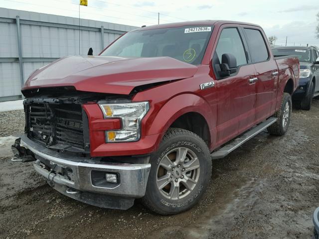 1FTEW1EF6GKD44941 - 2016 FORD F150 SUPER RED photo 2