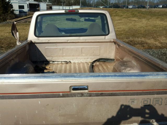 1FTEF14Y1TLB92414 - 1996 FORD F150 TAN photo 6