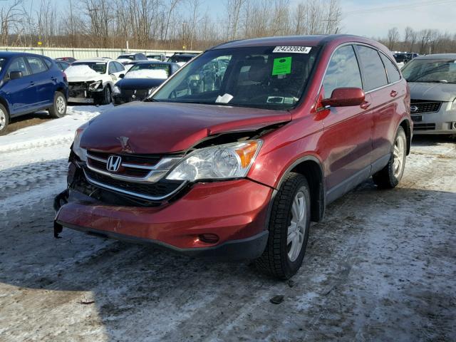 5J6RE4H75BL123645 - 2011 HONDA CR-V EXL RED photo 2