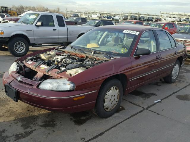 2G1WL52M8T1179145 - 1996 CHEVROLET LUMINA BURGUNDY photo 2