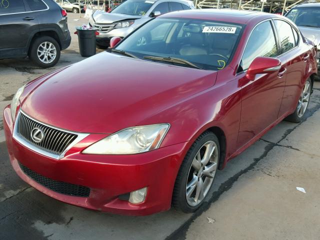 JTHBK262195098087 - 2009 LEXUS IS 250 RED photo 2