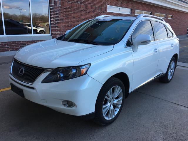 JTJBC1BA5B2035147 - 2011 LEXUS RX 450 WHITE photo 2