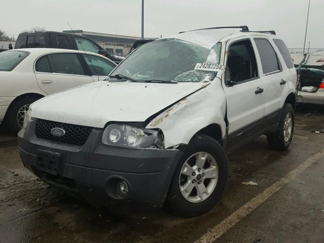 1FMYU93105KD12259 - 2005 FORD ESCAPE XLT WHITE photo 2