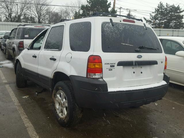 1FMYU93105KD12259 - 2005 FORD ESCAPE XLT WHITE photo 3