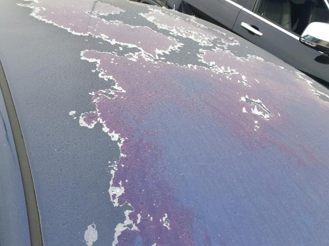 3VWRK69MX3M112765 - 2003 VOLKSWAGEN JETTA GL BLUE photo 9