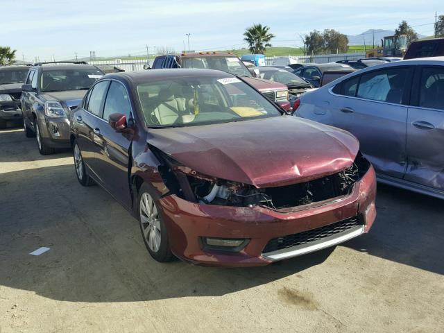 1HGCR2F88EA095910 - 2014 HONDA ACCORD EXL MAROON photo 1