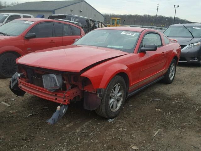 1ZVFT80N865244502 - 2006 FORD MUSTANG RED photo 2