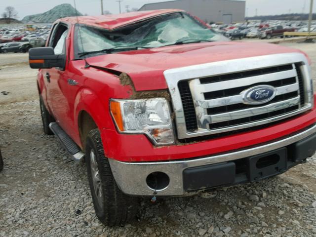 1FTFX1EF4CKD03364 - 2012 FORD F150 SUPER RED photo 1