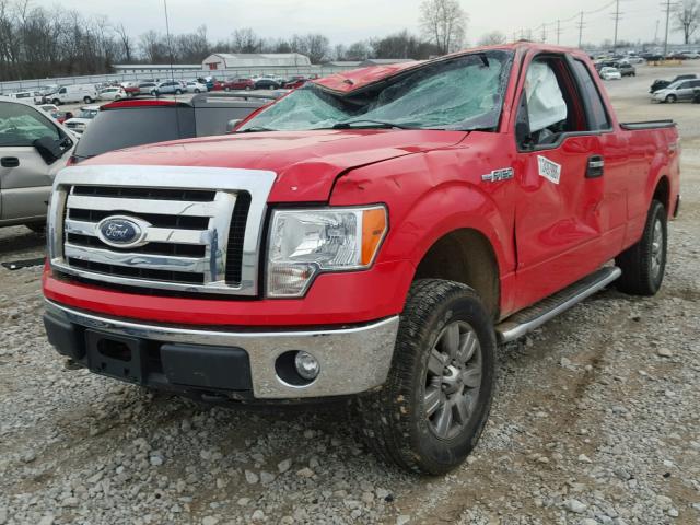 1FTFX1EF4CKD03364 - 2012 FORD F150 SUPER RED photo 2