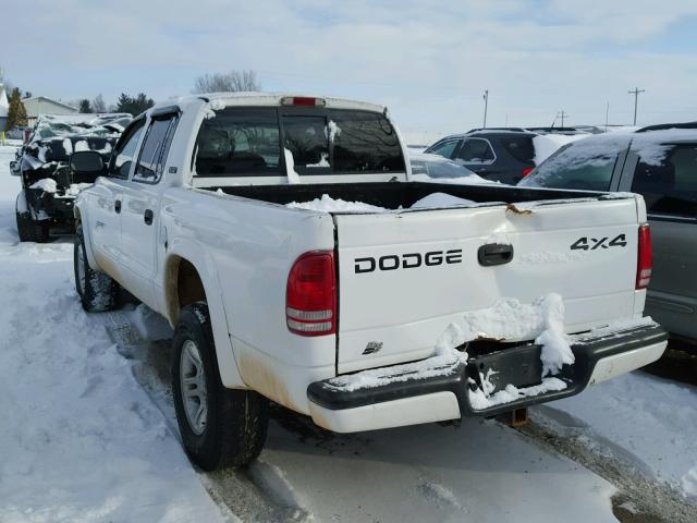 1B7GG2AN91S146693 - 2001 DODGE DAKOTA QUA WHITE photo 3