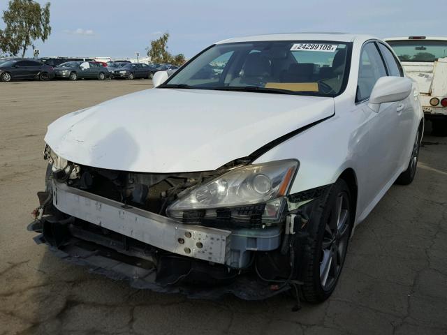 JTHBK262982059490 - 2008 LEXUS IS 250 WHITE photo 2