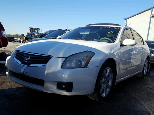 1N4BA41E98C835604 - 2008 NISSAN MAXIMA SE WHITE photo 2