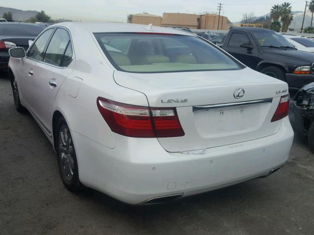 JTHBL46F985062657 - 2008 LEXUS LS 460 WHITE photo 3