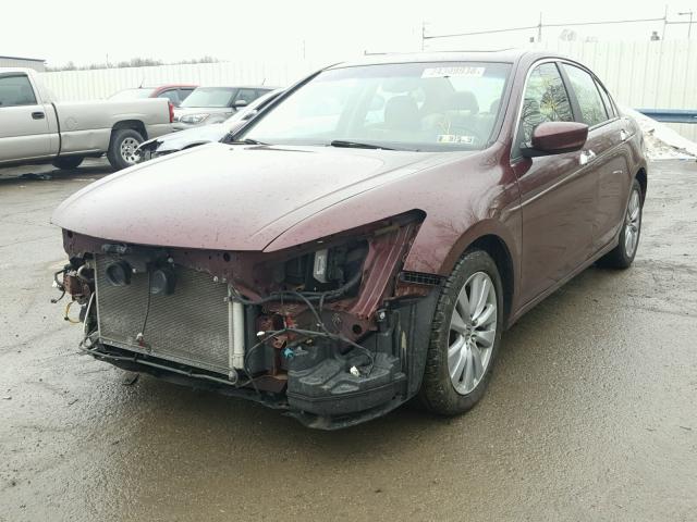 1HGCP3F83BA000967 - 2011 HONDA ACCORD EXL MAROON photo 2