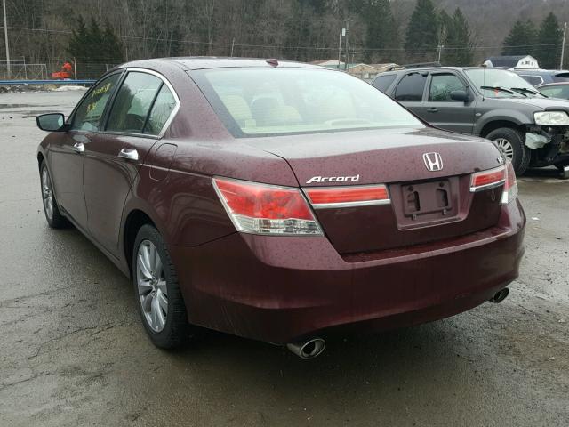 1HGCP3F83BA000967 - 2011 HONDA ACCORD EXL MAROON photo 3