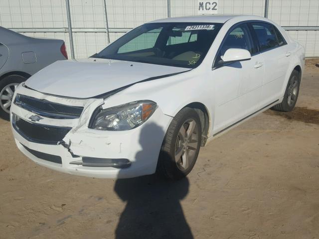 1G1ZC5E15BF277202 - 2011 CHEVROLET MALIBU 1LT 白色 照片 2