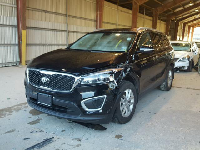 5XYPG4A34GG168383 - 2016 KIA SORENTO LX BLACK photo 2