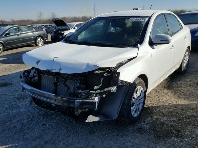 KNAFU4A28D5735594 - 2013 KIA FORTE EX WHITE photo 2