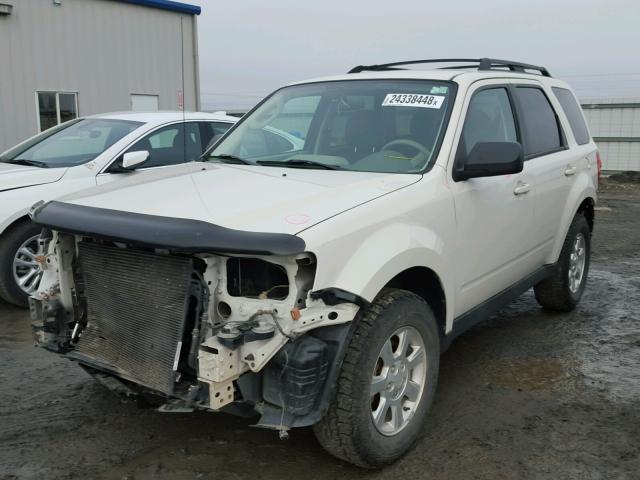 4F2CY9C78BKM06604 - 2011 MAZDA TRIBUTE I WHITE photo 2