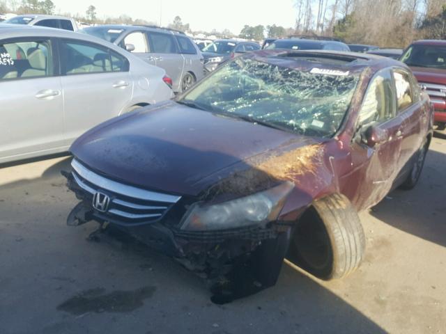 1HGCP2F79BA029309 - 2011 HONDA ACCORD EX BURGUNDY photo 2