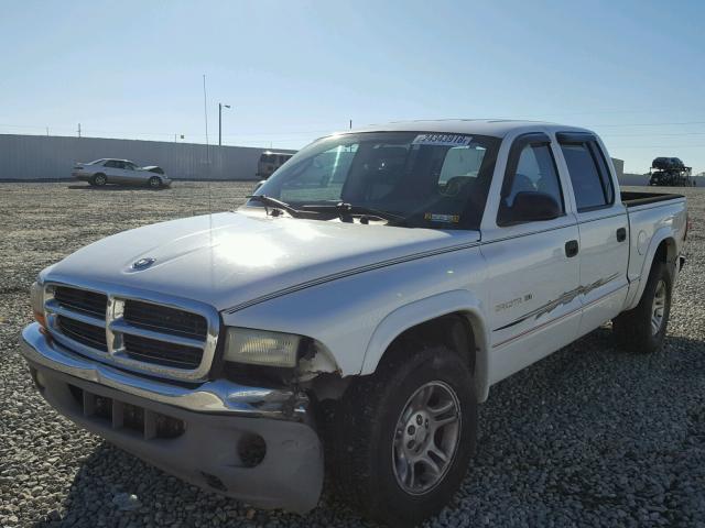 1B7HL48N62S511804 - 2002 DODGE DAKOTA QUA WHITE photo 2