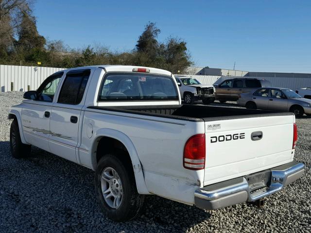 1B7HL48N62S511804 - 2002 DODGE DAKOTA QUA WHITE photo 3