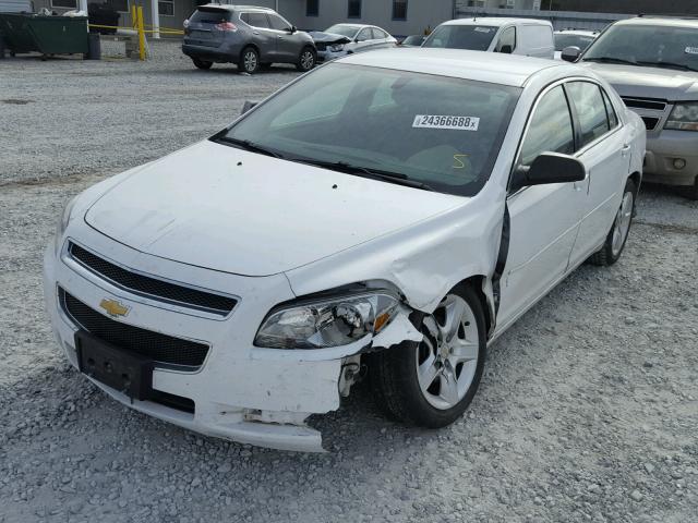 1G1ZA5E03CF390838 - 2012 CHEVROLET MALIBU LS WHITE photo 2