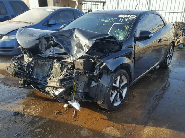 KNAFU6A24A5238887 - 2010 KIA FORTE EX BLACK photo 2