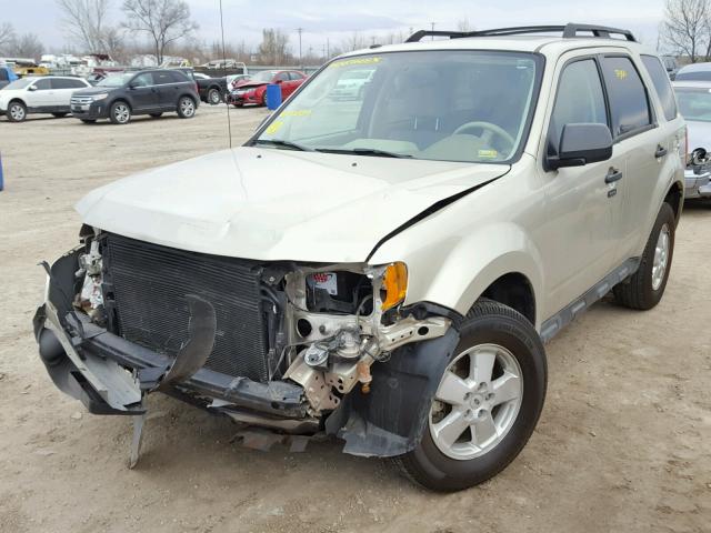 1FMCU0DG6BKC51259 - 2011 FORD ESCAPE XLT BEIGE photo 2