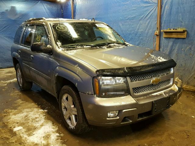 1GNDT13S682219970 - 2008 CHEVROLET TRAILBLAZE GRAY photo 1