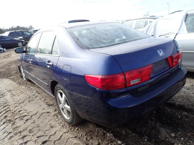 1HGCM56735A035041 - 2005 HONDA ACCORD EX BLUE photo 3