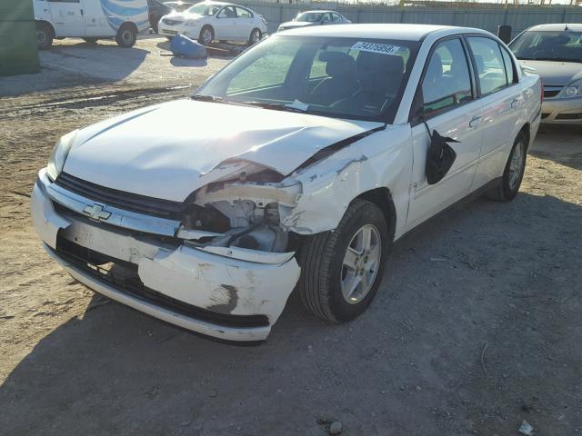 1G1ZT52865F306826 - 2005 CHEVROLET MALIBU LS WHITE photo 2