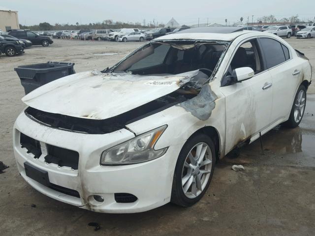 1N4AA5AP4AC861326 - 2010 NISSAN MAXIMA S WHITE photo 2