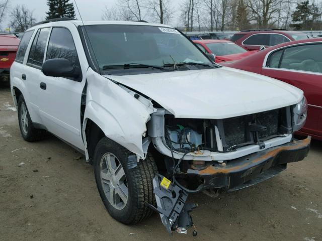 1GNDT13S662308001 - 2006 CHEVROLET TRAILBLAZE WHITE photo 1