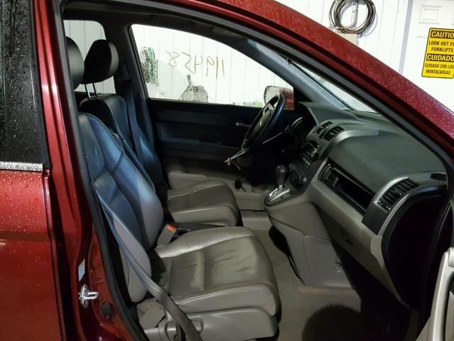 JHLRE38797C039547 - 2007 HONDA CR-V EXL MAROON photo 5