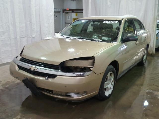 1G1ZT52885F305550 - 2005 CHEVROLET MALIBU LS TAN photo 2