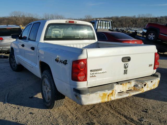 1D7HW48N85S201221 - 2005 DODGE DAKOTA QUA WHITE photo 3