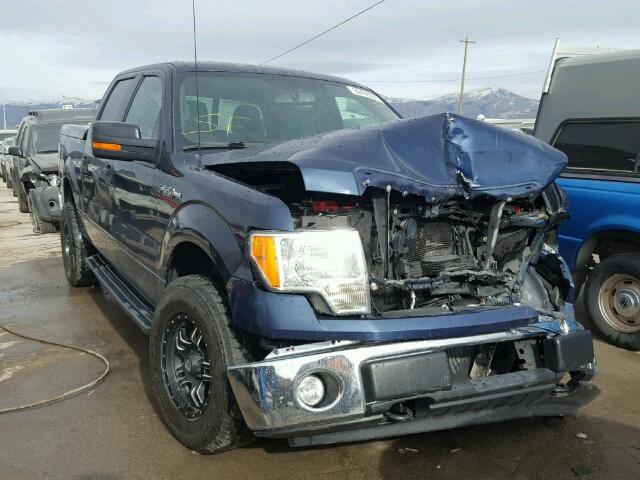 1FTFW1EF4DFA20637 - 2013 FORD F150 SUPER BLUE photo 1