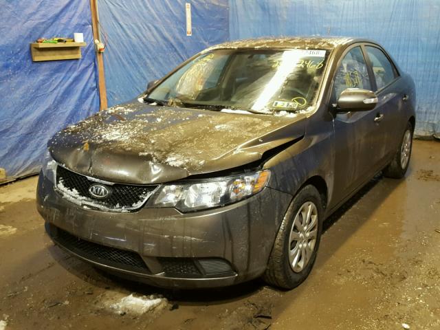 KNAFU4A21A5231674 - 2010 KIA FORTE EX TAN photo 2