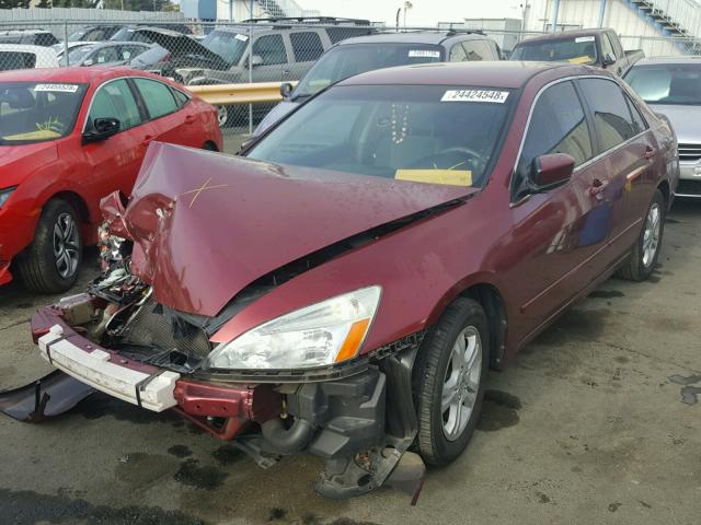 1HGCM56346A053269 - 2006 HONDA ACCORD SE BURGUNDY photo 2